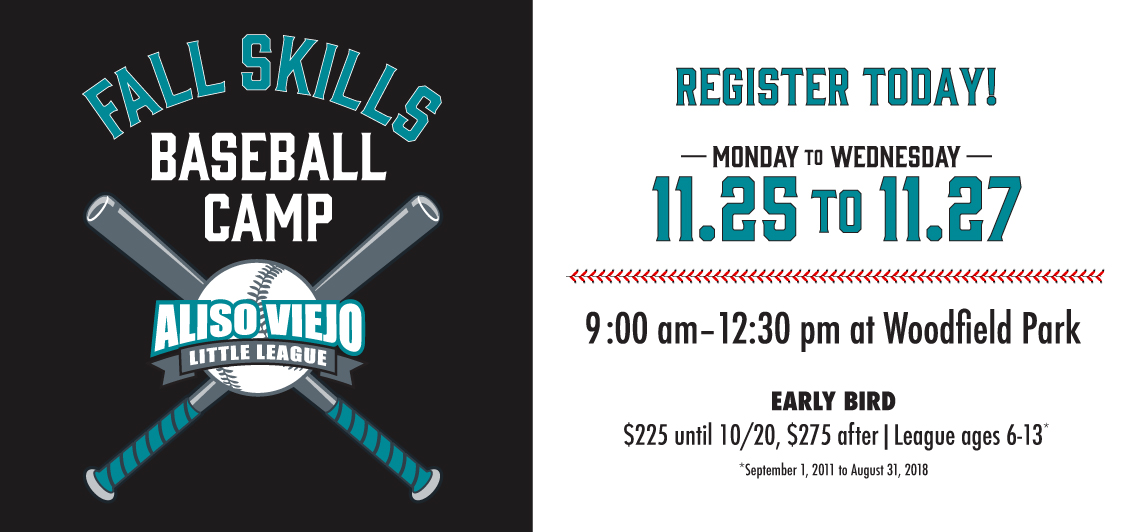 Fall Skills Baseball Camp