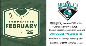 Baseballism Fundraiser!